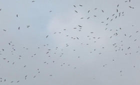 Появился неутешительный прогноз на первые выходные декабря во Владимире