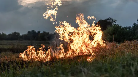 Во Владимирской области спасатели потушили 13 ландшафтных пожаров за сутки