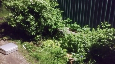 Жителя Александрова арестовали за убийство родственника