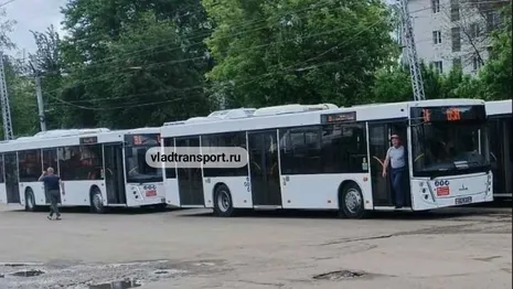 Во Владимире приехали новые автобусы МАЗ