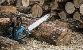 Вырубка деревьев на 4,7 млн рублей в Собинском районе привела к уголовному делу