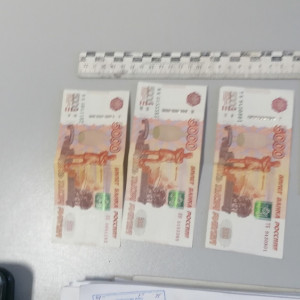 Нелегал из Петушков попал под следствие за попытку дачи взятки полицейскому