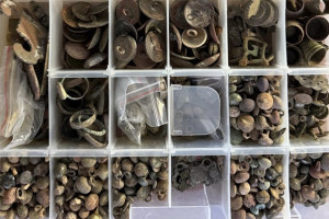 Житель Владимира избежал реального срока за незаконные раскопки исторических земель