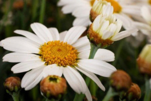 18 день Великого поста: что можно и нельзя 4 апреля