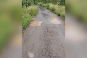 Жители деревни под Александровом потратили миллион рублей на заплатки ям