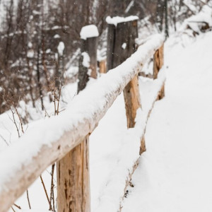 Причиной циклонов Ваня и Ольга во Владимирской области стало глобальное потепление