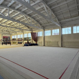 Во Владимире тренер попала под следствие за избиение 8-летней гимнастки