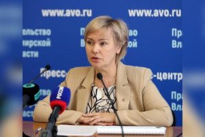 Мошенники взломали личный аккаунт министра цен Владимирской области