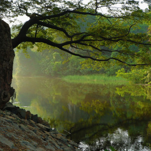 Во Владимирской области появится набережная за 70 млн рублей