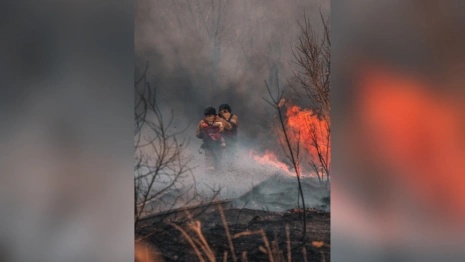 Во Владимирской области предупредили о пожарной опасности 4-го класса