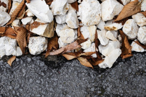 Бастрыкин заинтересовался ситуацией с бездорожьем в Кольчугино