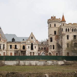 Во Владимирской области в имении Храповицкого высадили сибирские кедры