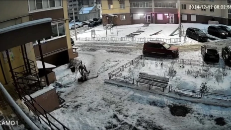 Устроивших драку с младенцем на руках родителей-наркоманов из Владимира будут судить