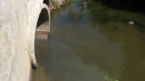 Эксперты подтвердили загрязнение Рпени стоками во Владимире