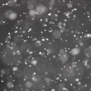 Прогноз погоды на 20 февраля во Владимирской области 