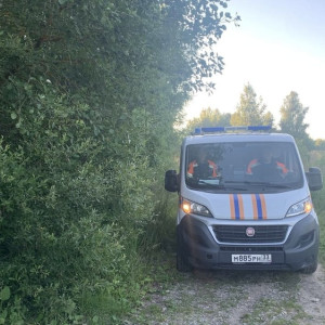 В СНТ в Камешковском районе потерялась 72-летняя женщина