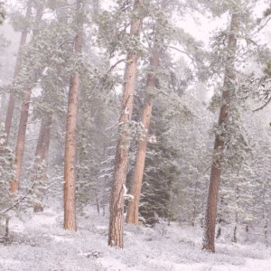 Во Владимире 44-летнего мужчину нашли живым