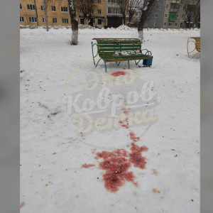 Участник СВО спас пострадавшую от взрыва петарды жительницу Владимирской области