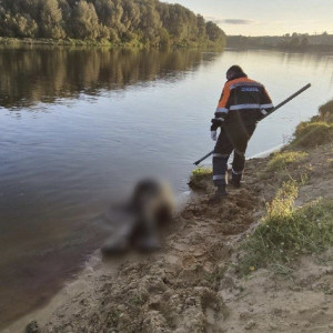 Стала известна личность утонувшего в Клязьме под Суздалем мужчины