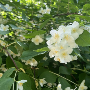 Во Владимирской области пообещали потепление до +19 градусов