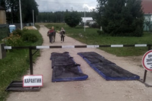 В Коврове на въездах в очаги чумы свиней поставили шлагбаумы