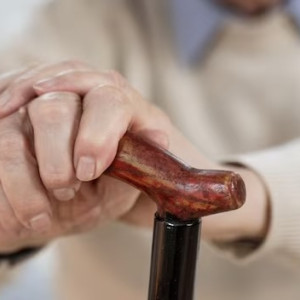 Во Владимире открылось третье отделение гериатрии