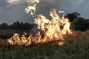 Во Владимирской области с начала года сухая трава загорелась 9 раз