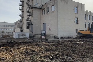 Владимирцы возмутились спиленной елью у Art Hall