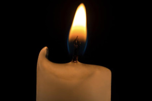 В зоне СВО погибли Василий Плотников и Сергей Числов из Камешковского района