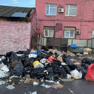 Жители Владимира пожаловались на свалку в историческом центре