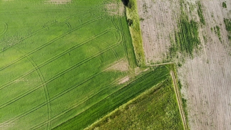 В восьми районах Владимирской области построят дороги к участкам для многодетных 