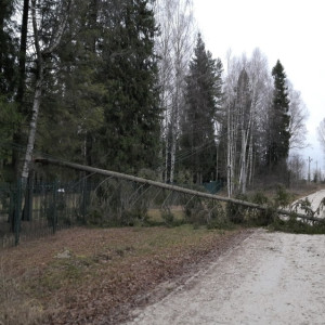 Владимирские энергетики устранили последствия разрушительного урагана