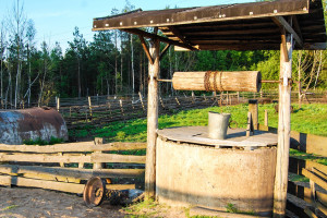 Фотинья Колодезница: что можно и нельзя делать 2 апреля