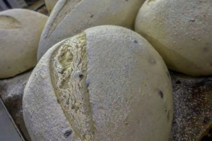 Энергетики из Киржача отреагировали на крик души семейной пекарни