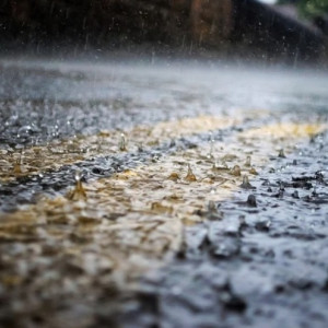 Тестовый материал (редактор)