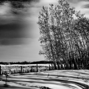 Жителей Владимира предупредили о шквалистом ветре 