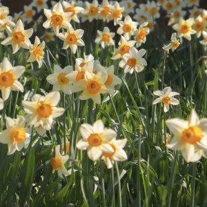 Во Владимирскую область придет 13-градусное тепло