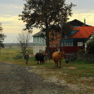 Жители Владимирской области собрали почти 26 млн рублей на благоустройство