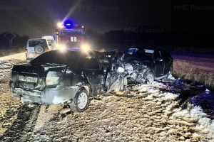 Спасатели деблокировали 2 пострадавших в ДТП под Суздалем