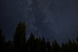 Жители Владимирской области увидят двойной звездопад в ночь на 31 июля