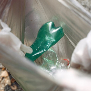 Компанию «Биотехнологии» оштрафовали на 250 тысяч за заваленные мусором дворы