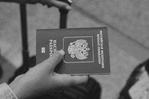 У жителя Владимира собака съела паспорт
