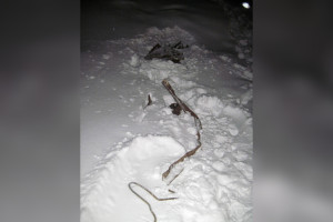 Двое нижегородцев украли 800 кг металла с поезда в Муроме