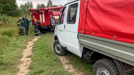 В Камешковском районе вспыхнули сухая трава и кусты
