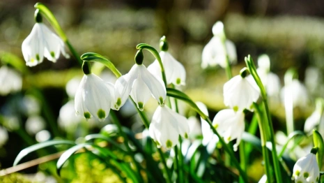 Во Владимирской области наступило весеннее равноденствие