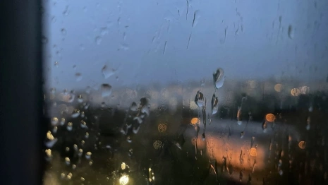 Владимирцев предупредили о дожде с грозой 1 июля