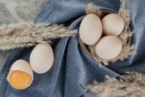 Во Владимирской области подорожали огурцы и яйца