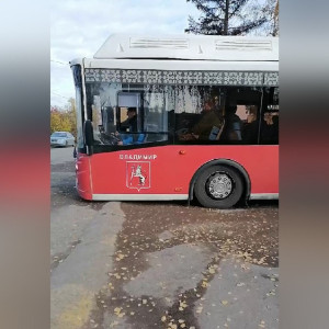 Во Владимирской области сняли на видео отправку мобилизованных