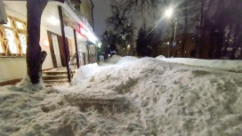 Бастрыкин взял на контроль историю с падением ледяной глыбы на женщину в Коврове