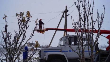 Во Владимирской области из-за ледяного дождя без света остались два района 
